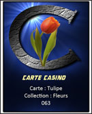 Tulipe