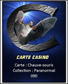 Chauve-souris