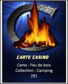 Feu de bois